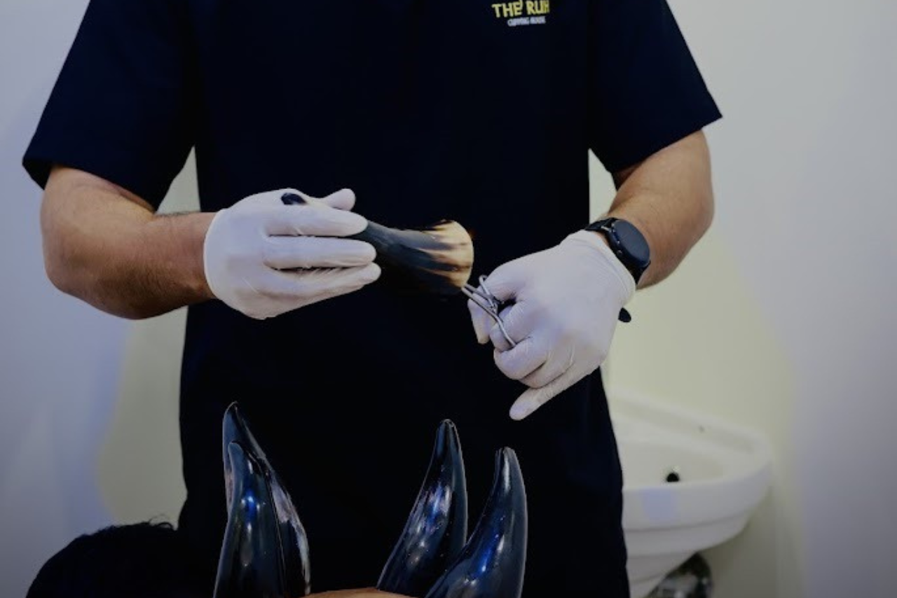 Why to choose Ruh holistic care